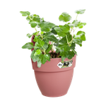 vibia campana easy hanger small dusty pink